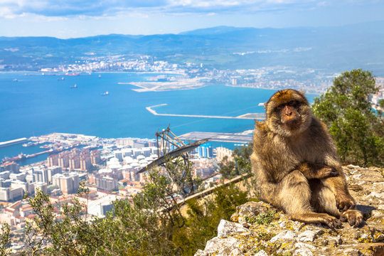 Gibraltár Buszos Élményprogram